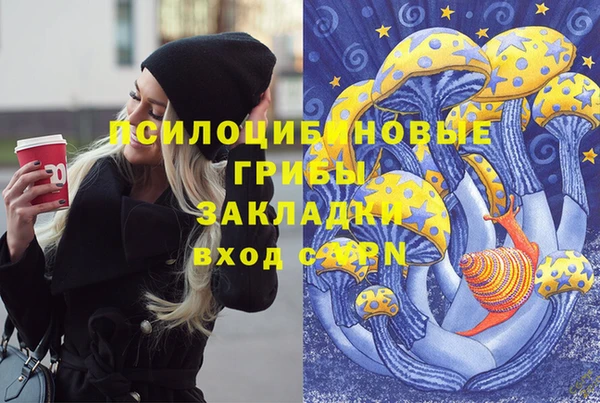 2c-b Абдулино
