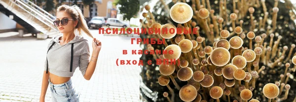 jwh Абинск