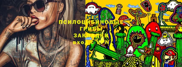 ешки Надым