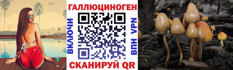гидра ССЫЛКА  Кировград  Галлюциногенные грибы Cubensis  где можно купить наркотик 